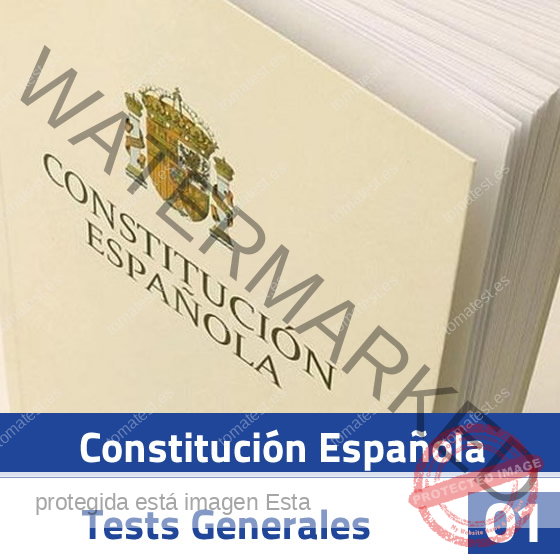 General Constiución v2 01