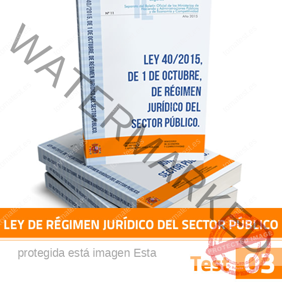 Régimen Juríco 03