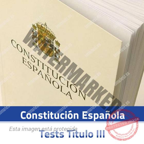 TEST CONSTITUCION – TITULO III