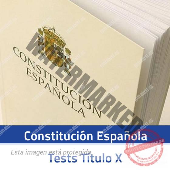 TEST CONSTITUCION – TITULO X