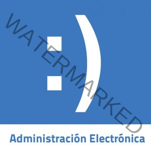 La Administración Electrónica