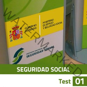 Seguridad Social - Test 01