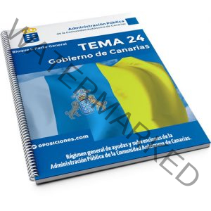 GOBCAN - Tema 24 - Test 01