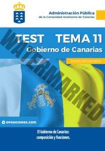 Administrativo del Gobierno de Canarias Tema 11