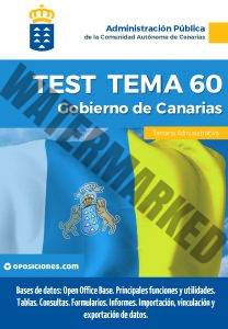 Administrativo del Gobierno de Canarias Tema 60