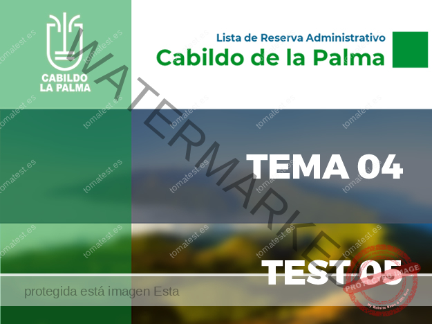 CAB LA PALMA T04 T05