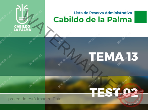 CAB LA PALMA T13 T02