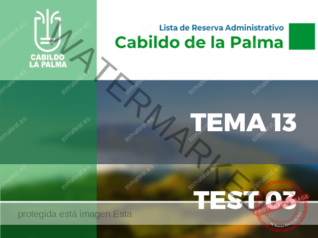 CAB LA PALMA T13 T03