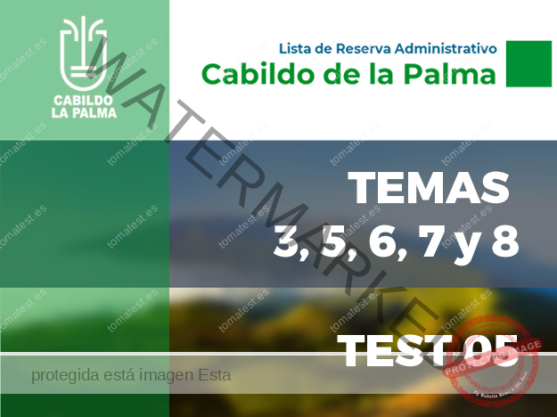 CAB LA PALMA T35678 T05